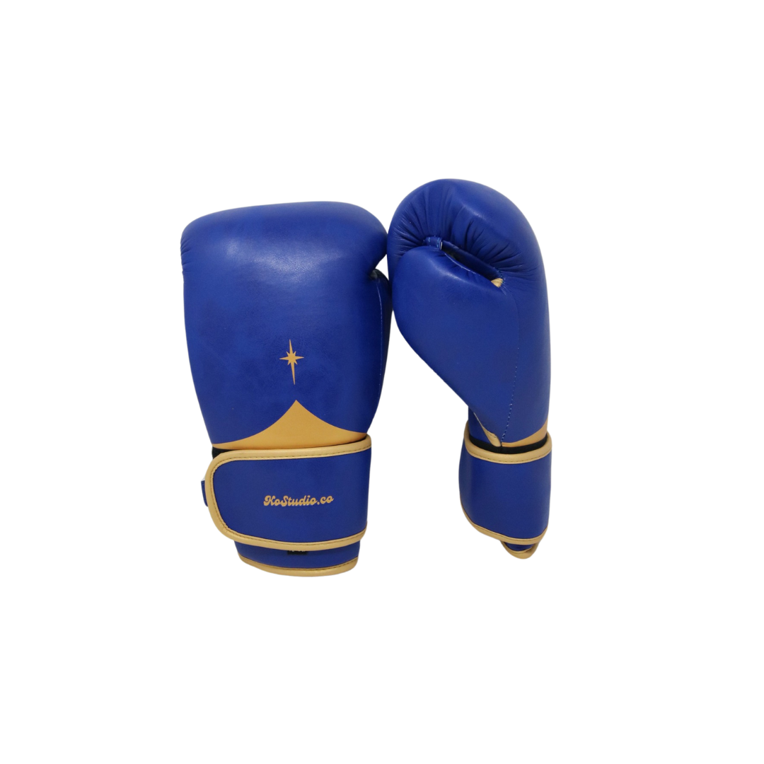 Sapphire Boxing Gloves